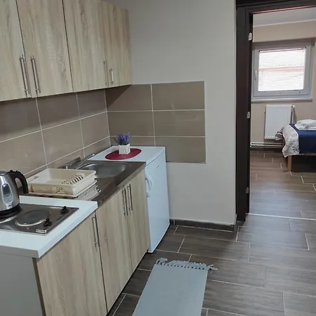 Valor 아파트 Kikinda